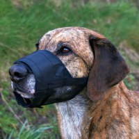 Botnita Plasa 23-31 cm Nr.5 L-XL 19265 - 1