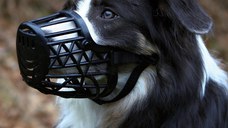 Botnita Plastic 22 cm Nr.4 17604