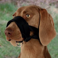 Botnita Rottweiler XL 20-30 cm/23-34 cm 19282 - 1