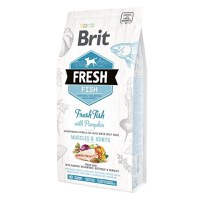 Brit Fresh Fish and Pumpkin Adult Large, 2.5 kg - 1