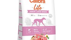 Calibra Dog Life Junior Large Breed Lamb, 12 kg