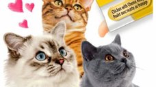Churu Inaba Deliciu Cremoasa cu Pui si Branza, 14 g x 4 bucati