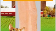 Ciao File de Pui la Gratar in Supa cu Aroma de Pui, 25 g