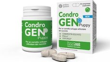 CondroGEN Puppy - 30 Tablete pentru Articulații Sănătoase