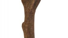 Creanga Colivie Forma Y 20 cm/15 mm
