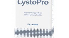 Cystopro, 120 capsule