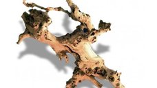 Decor acvariu, lemn, 30-45cm