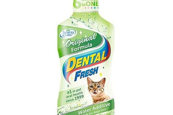 Dental Fresh Original Formula Pisici, Synergy Labs, 237 ml