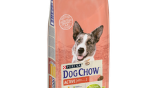 DOG CHOW ACTIVE, Pui, 14 kg