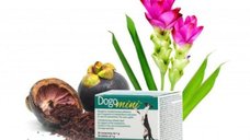 DOGOTEKA DOGO MINI 30 tablete, caini si pisici