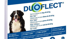 Duoflect DOG (XL), 3 pipete, > 40 kg