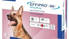 Effipro Duo Dog L 268 mg pipete antiparazitare caini talie mare (20 - 40 kg), 4 pipete
