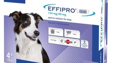 Effipro Duo Dog M 134 mg pipete antiparazitare caini talie medie (10 - 20 kg), 4 pipete