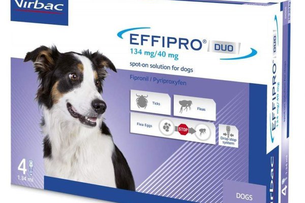 Effipro Duo Dog M 134 mg pipete antiparazitare caini talie medie (10 - 20 kg), 4 pipete