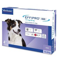 Effipro Duo Dog M 134 mg pipete antiparazitare caini talie medie (10 - 20 kg), 4 pipete - 1