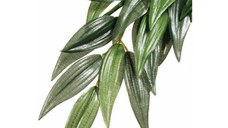 EXO TERRA PLANTA RUSCUS SMALL 35 CM PT3031