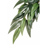 EXO TERRA PLANTA RUSCUS SMALL 35 CM PT3031 - 1