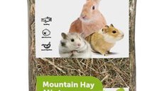 FAN DE MUNTE CU MENTA 500GR