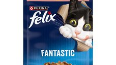 Felix Fantastic Somon 85g