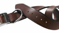 Ferplast Zgarda Vip C 1.5x35 Cm
