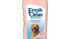 Fresh'n Clean Crema Descalcit, 533 ml