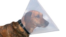 Guler Protector 22-25/7 cm 19480