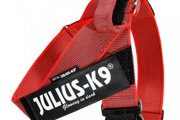 Ham Banda IDC, Marimea 3 (40 - 70 kg), rosu