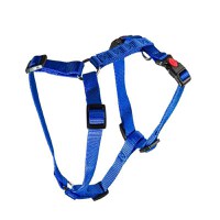 Ham Caini 3x Ajustabil Nylon Mol Blue Click 25 mm x 70-120 cm - 1