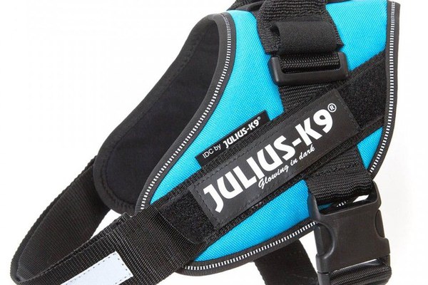 Ham K9 IDC Power, Marimea Mini-Mini, 4-7 kg, Aqua Marine