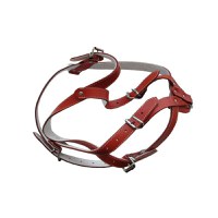 Ham Piele Pentru Caini Cu Ornament Nr.3 Rosu 64-72cm/16mm - 1