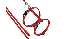 HAM SI LESA PISICI CULOARE ROSU 110CM/1CM