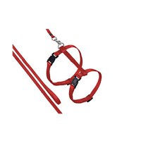 HAM SI LESA PISICI CULOARE ROSU 110CM/1CM - 1