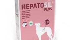Hepatosil Plus Rase Mari, 30 tablete