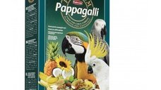 Hrana pasari Premium Papagali, M 500 g