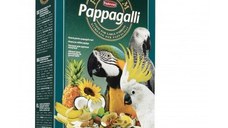 Hrana pasari Premium Papagali, M 500 g
