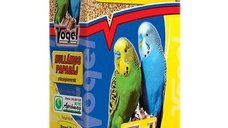Hrana pentru pasari Vogel Papagal, 500 g