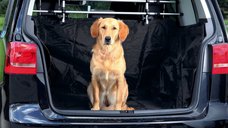 Husa Protectie Auto Nylon 230x170 cm 1318