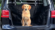 Husa Protectie Auto Nylon 230x170 cm 1318