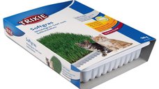 Iarba Bio 100 g Castron 4232