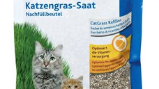 Iarba Bio 100 g rezerva/ 4233