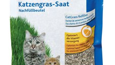 Iarba Bio 100 g rezerva/ 4233