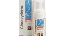 ICF Clorexyderm Spuma 4%, 100 ml