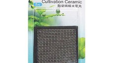 ISTA - Suport ceramic cultivare plante - 6.5x6.5 cm