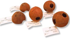 JBL Cocos Cava 1/2 M