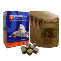 JT Complex B, 60 snacks - 1
