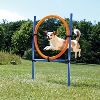 Jucarie Agility Ring 65 cm 3208 - 1