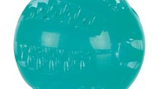 Jucarie Minge Termoplastica Dentafun Plutitor 6 cm 33680