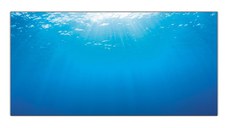 Juwel Decor Poster 2 XL
