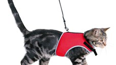 Lesa 1.2 m 24-42 cm pentru Pisici 41896