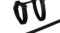 Lesa 1.2 m si Ham 19-31 cm/8 mm pentru Pui de Pisica 4182